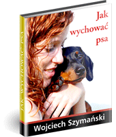 Jak wychowac psa
